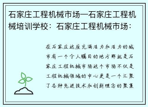 石家庄工程机械市场—石家庄工程机械培训学校：石家庄工程机械市场：打造工程机械领域的中心