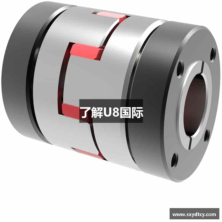 了解U8国际